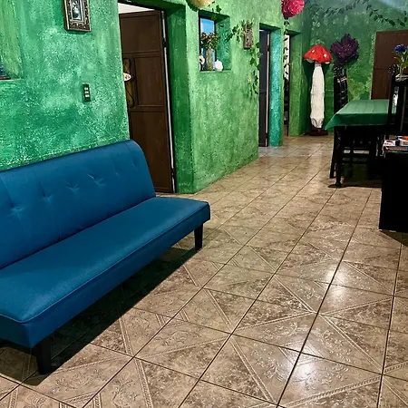 Wonderland B&B - Cozy Room In The Heart Of Antigua